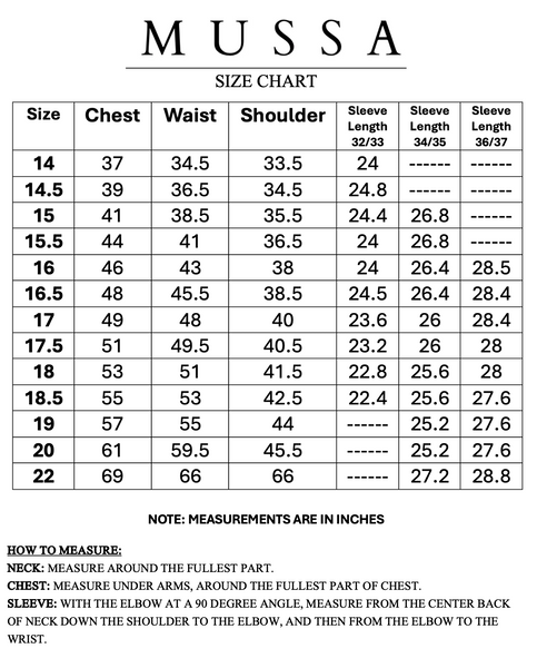 Mussa Men's Dress Shirt - Blue